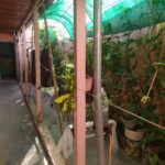 VENTA - 76 entre 1 y 115 - La Plata