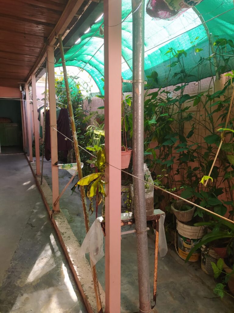 VENTA - 76 entre 1 y 115 - La Plata