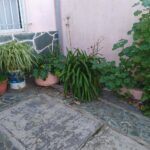 VENTA - 76 entre 1 y 115 - La Plata