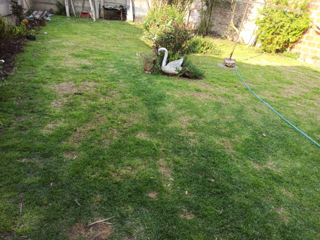 VENTA - Casa - 30 bis entre 80 y 81 - La Plata