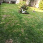 VENTA - Casa - 30 bis entre 80 y 81 - La Plata