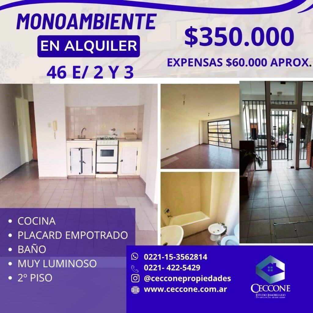 ALQUILER - Monoambiente - 46 entre 2 y 3 - La Plata