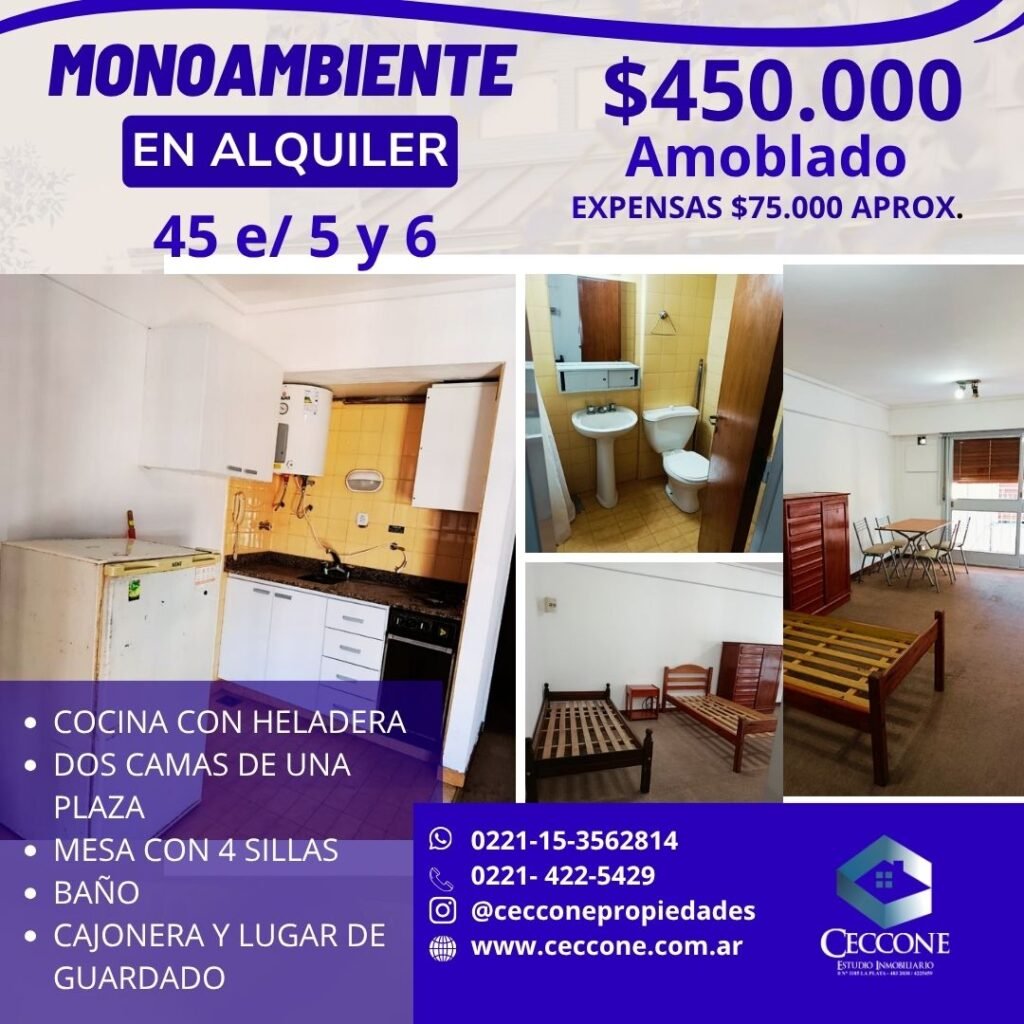 ALQUILER - Monoambiente - 45 entre 5 y 6 - La Plata
